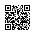 46811385S Needle Cpl. D=4, L=94