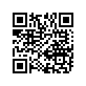 47110-06B30-2FF 