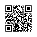 47211-29600-541 