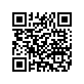 4737304 BRACKETPASSFOOTBOARDS