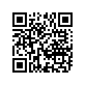 47512-38G00-291 Net, rh (black)
