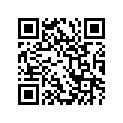 47522-38G00-291 Net, lh (black)