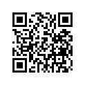 47X-11645-00-00 Поршень