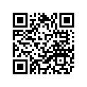 47X-11646-01-00 Поршень и кольцо
