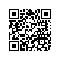 47X-13181-01-00 