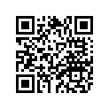 47X-17161-00-00 