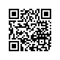 48111C49F00JYKC 