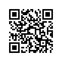 48125-93J00 ORINGSET