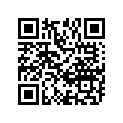 48131-16F00-Y9H 