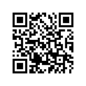 484-24161-00-00 