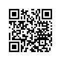 48600139 SHIM 6X22X0,1