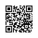 48600729 Spindel D=12/l=504