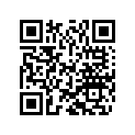 48601034 Lock nut M8 h33 WAF19