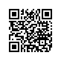 4862407 CAP,FORKSLIDER