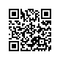 48633-95520 O-RING