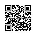 490060007 Boot