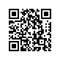 490060028 Boot