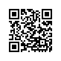490060040 Boot