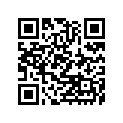 490061166BL 
