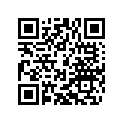 49031131100 Washer