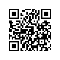 490341060 