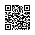 490691080 