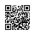 491061166 