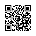 491101104 Governor-assy