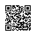 49116-0011 バルブアツシ