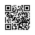 491161065 