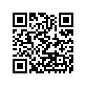 491161068 
