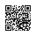 49125002217H 