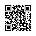 49125003335A 