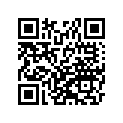 49131-5304-6C 