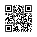 4913179 CHROMESUPPORT