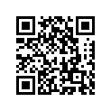 49133-5167-17L 