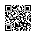 493-13101-01-00 