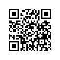 493-81300-11-00 FLYWHL MAGNETO ASY