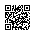 4935401 FOOTPEGSUPPORT