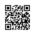 498-17251-00-00 