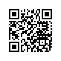 498-81312-21-00 