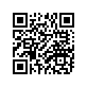 498-81315-21-00 