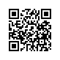 499-17411-00-00 