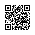 4990303A BULLETSPOILERFRAMERAIL
