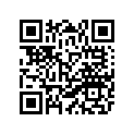 49A-11631-00-X0 Поршень