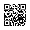 49T-11181-00-00 