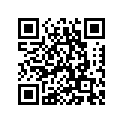 4A1-22210-00-00 