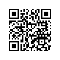 4B5-2474A-01-P2 Assist, Grip
