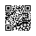 4BP-21651-00-33 4BP21651004B