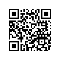 4BP-24110-01-06 4BP2411002W3